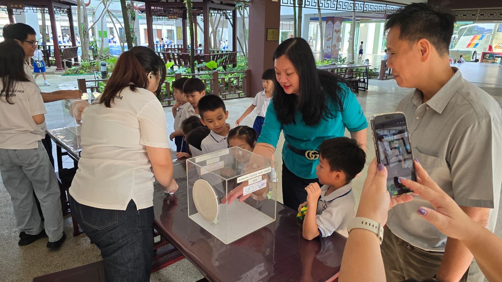 Project Wolbachia - SLs and Pupils 'hands-on' experience in courtyard.