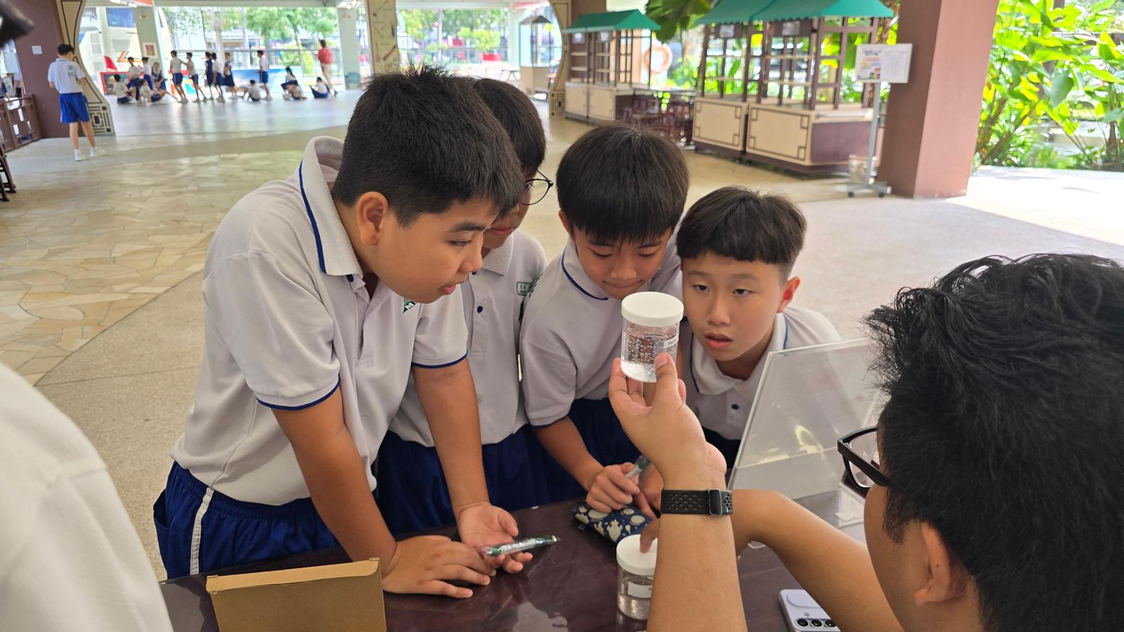 Project Wolbachia - Boys looking carefully on 'live' specimen of mosquito larva.