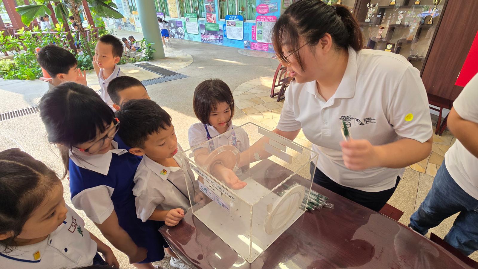 Project Wolbachia - Pupils 'hands-on' experience on mosquitoes guided by NEA Officer.