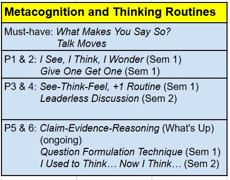 MetaCognition